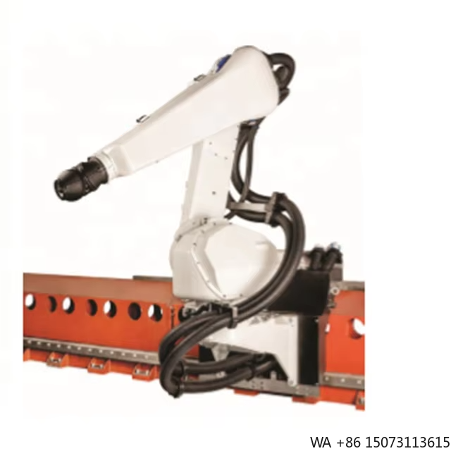 Robot Gripper - 6軸スプレー塗装ロボットアーム、自動車塗装セル用途向け広い作業エリア付き