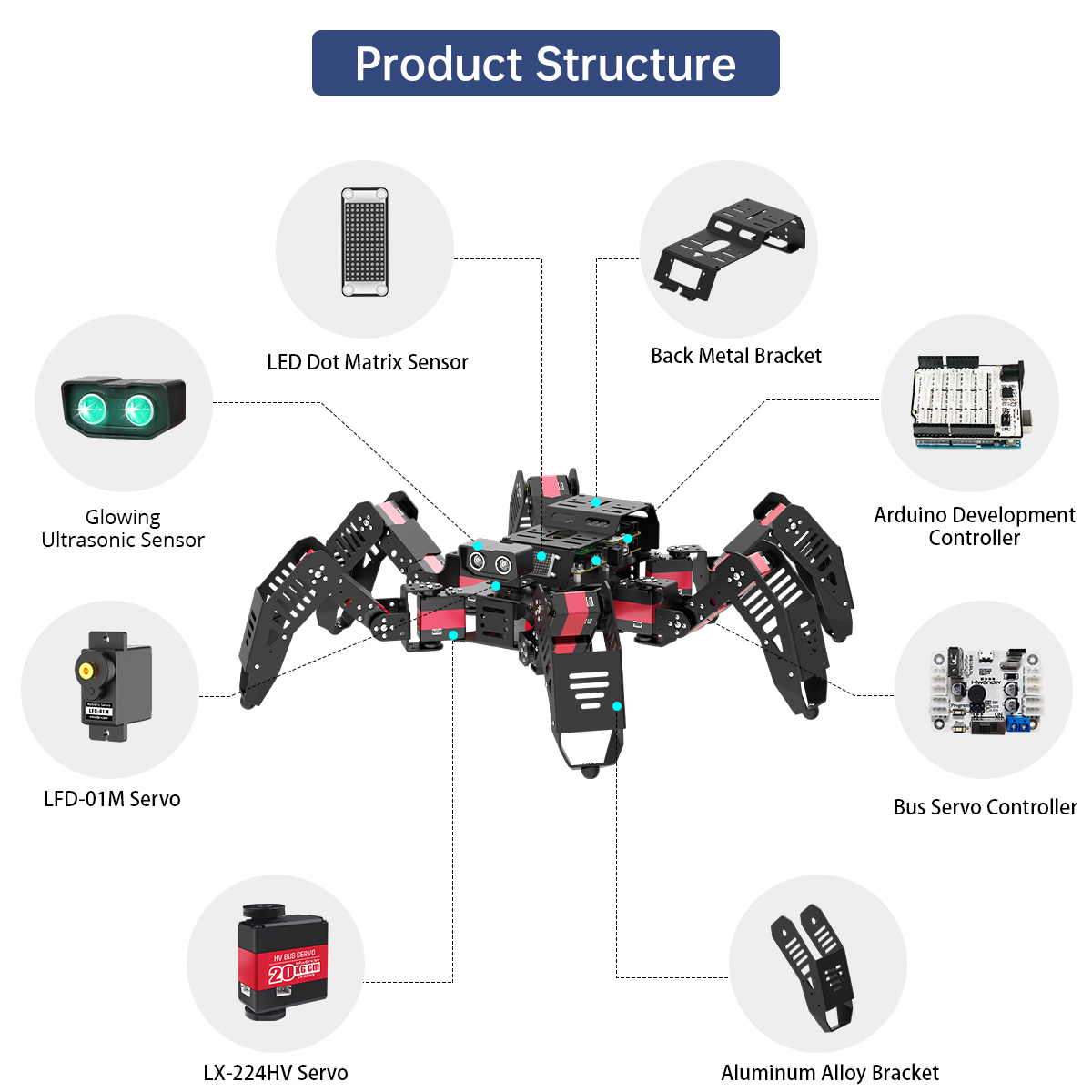 Hiwonder スパイダーボット プログラム可能なリモコン - Robotics Kit のレビューと価格