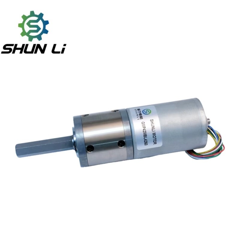 高トルク・高効率 12V 24V 48V 42mm DC遊星 - Dc Motor 12V のレビューと価格